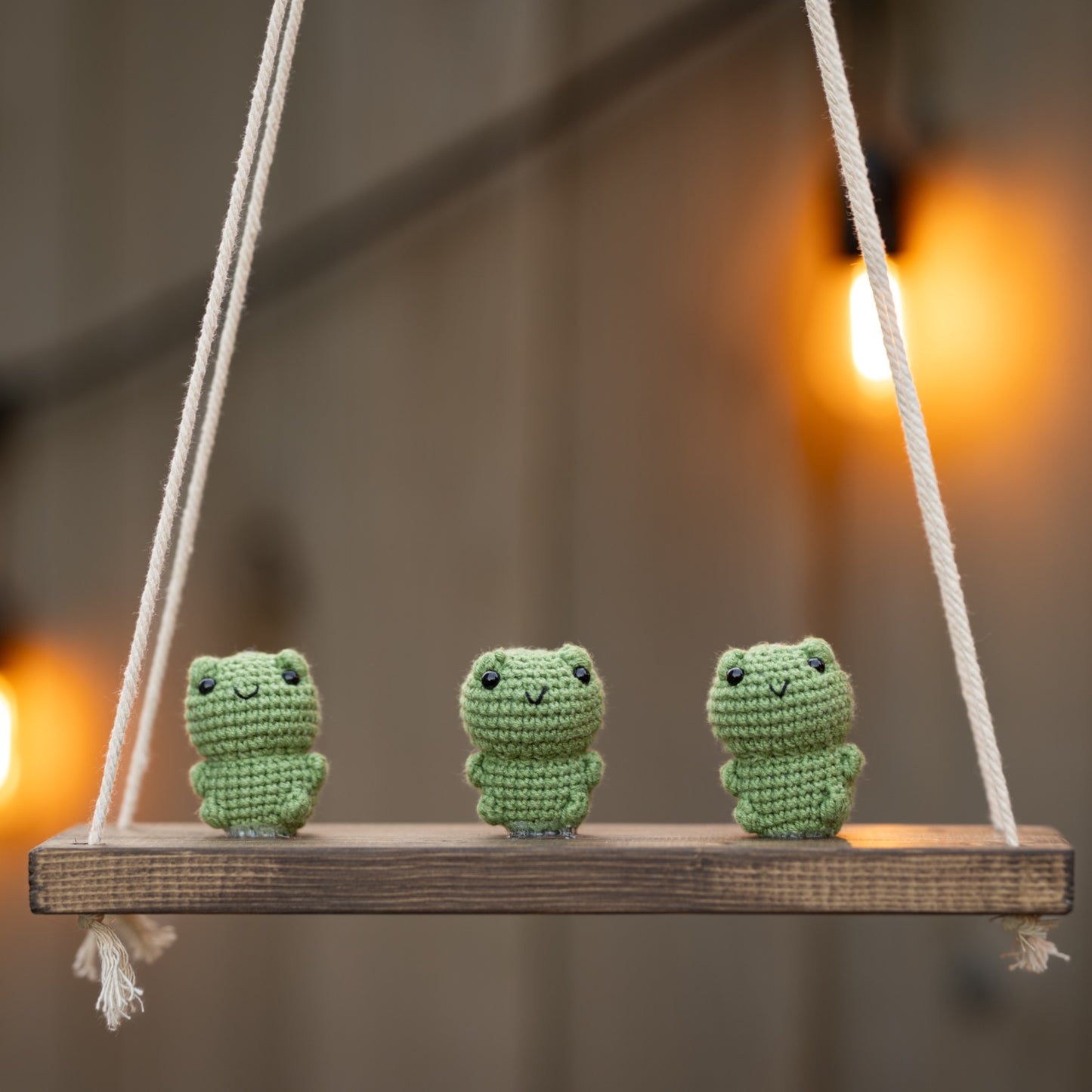 Frogs on a swing  Hanging Wall Shelf