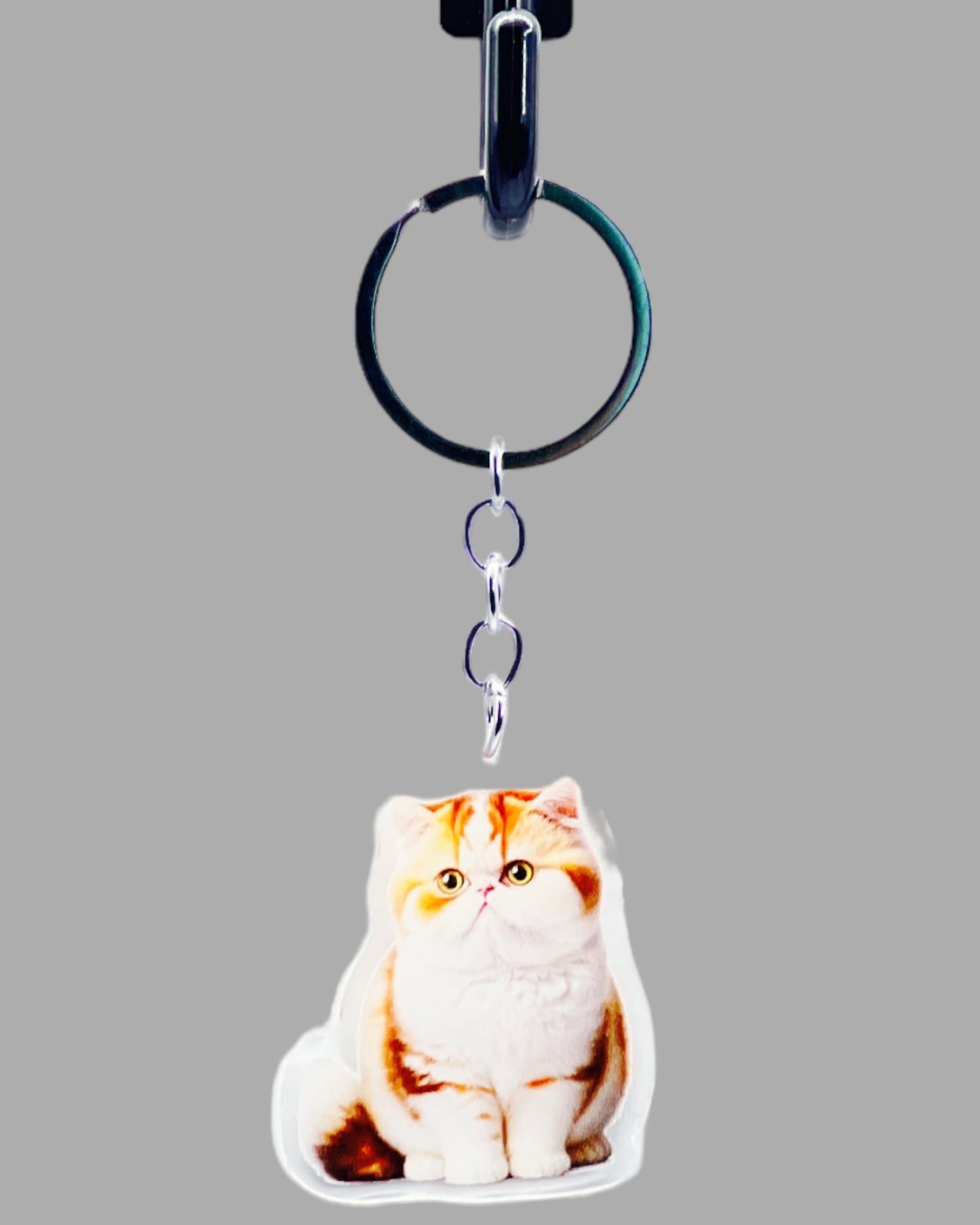 Orange Tabby Cat Acrylic key chain