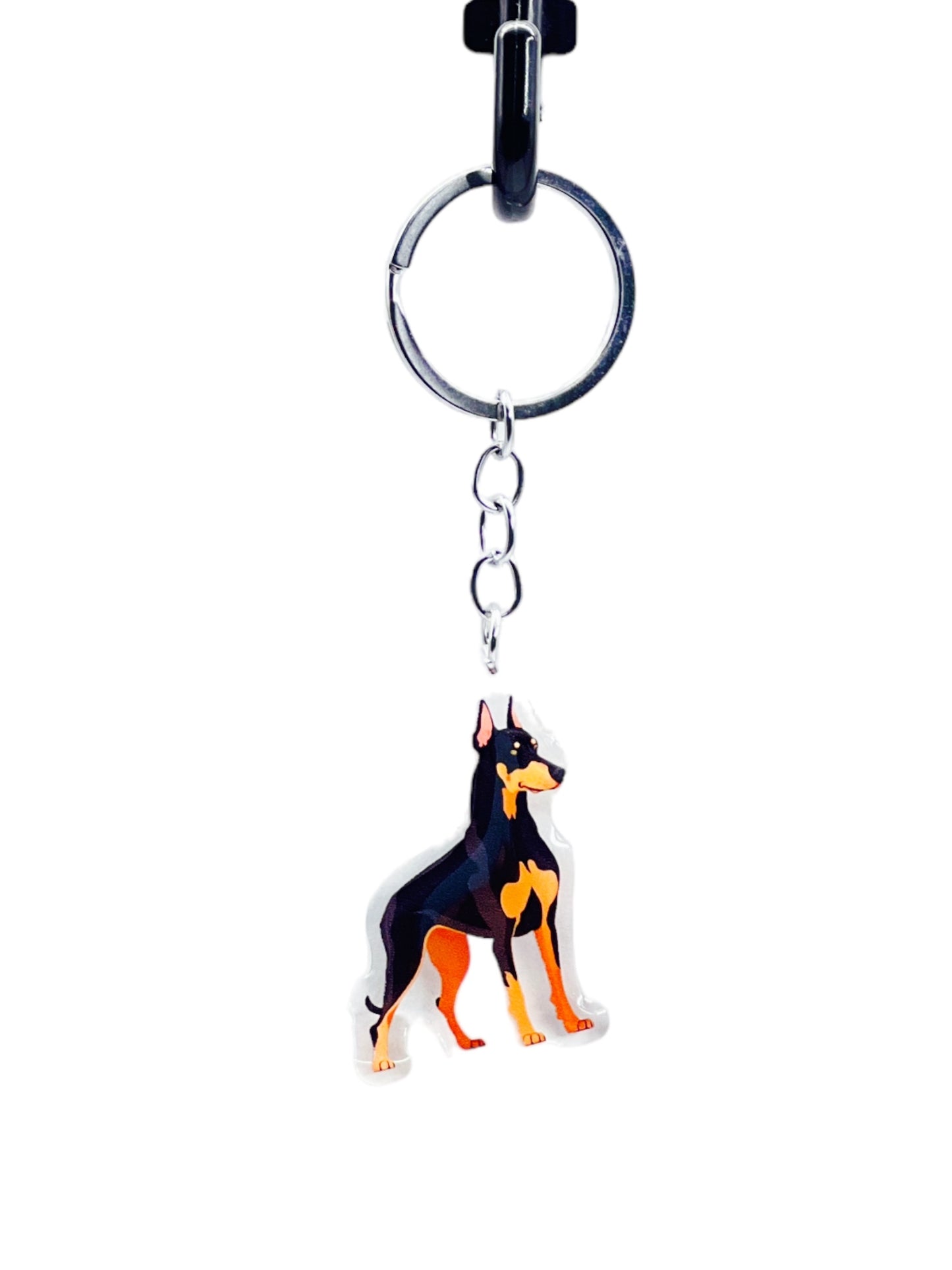 Dobreman Pinscher Dog Acrylic key chain
