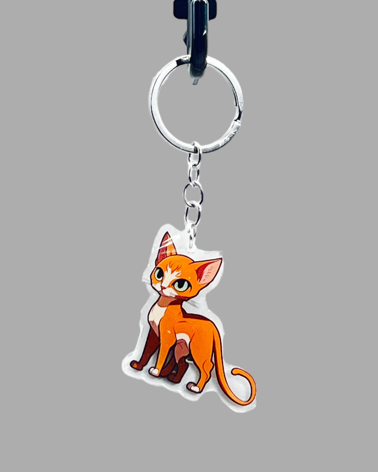Abyssinian Cat Acrylic keychain, Cute kawaii memorial ornament, pet portrait charm gift of animal crossing, backpack photo fob or dad car décor