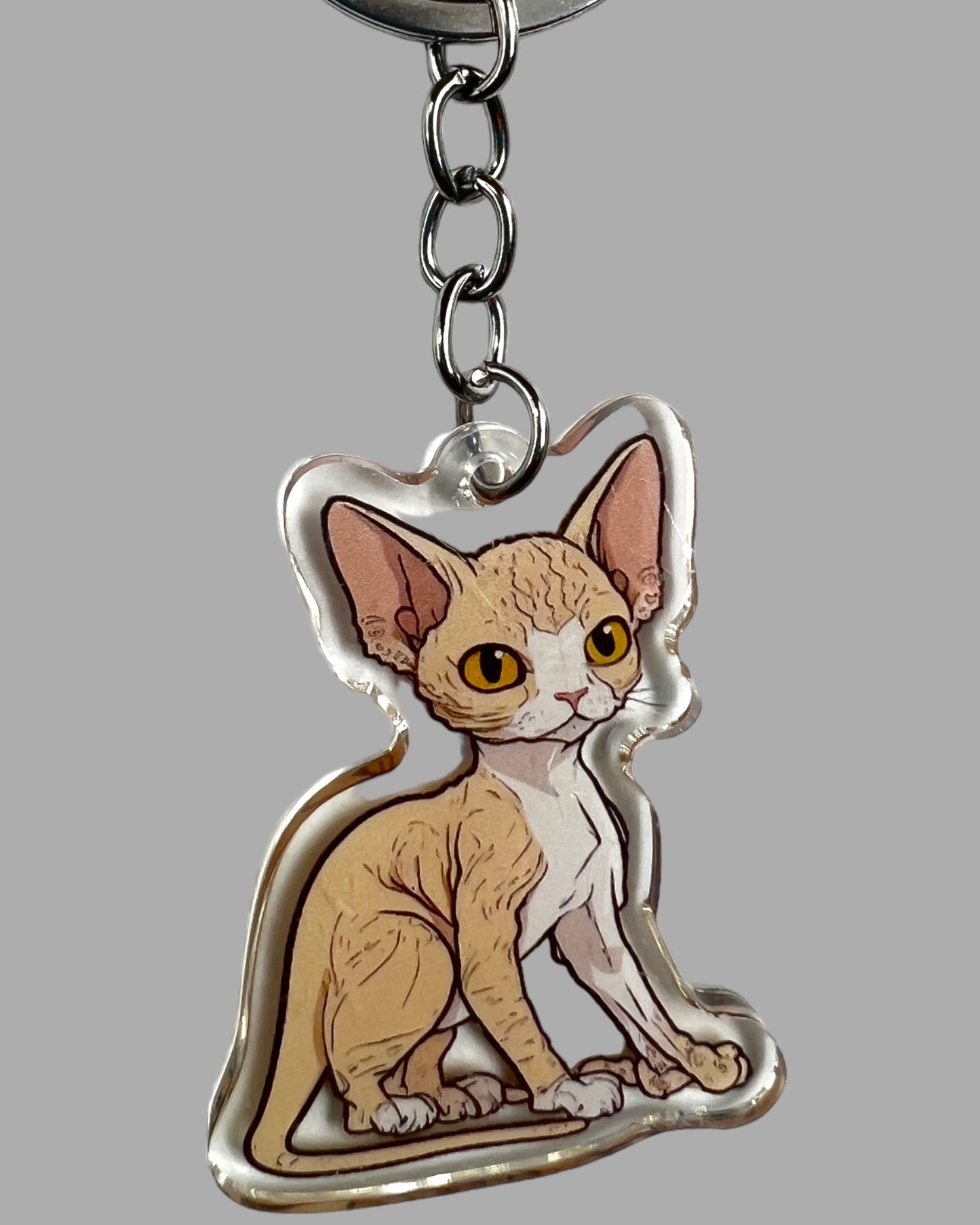 Devon Rex Cat Acrylic Keychain