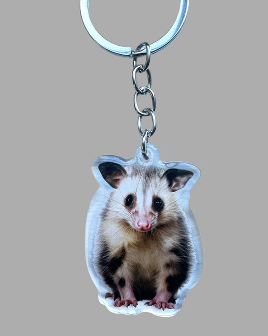 Possum Wildlife acrylic keychain